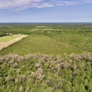 Photo #2 of SOLD property in Off Davis Rd, Richlands, NC 44.1 acres