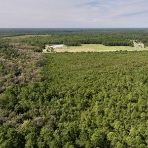 Photo #11 of SOLD property in Off Davis Rd, Richlands, NC 44.1 acres