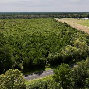 Photo #13 of SOLD property in Off Davis Rd, Richlands, NC 44.1 acres