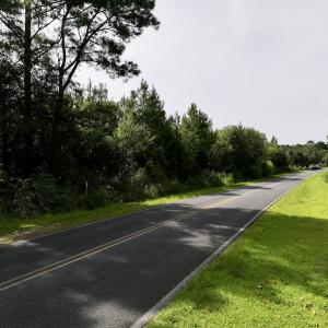 Photo #14 of SOLD property in Off Davis Rd, Richlands, NC 44.1 acres