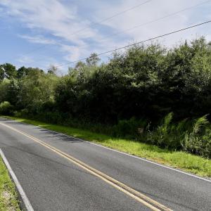 Photo #15 of SOLD property in Off Davis Rd, Richlands, NC 44.1 acres