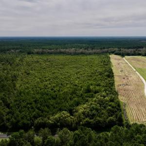 Photo #3 of SOLD property in Off Davis Rd, Richlands, NC 44.1 acres