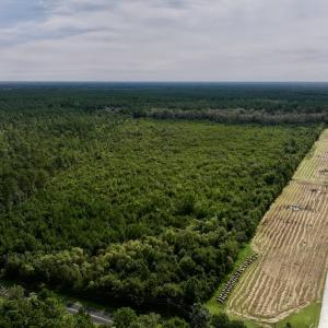 Photo #4 of SOLD property in Off Davis Rd, Richlands, NC 44.1 acres