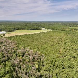 Photo #9 of SOLD property in Off Davis Rd, Richlands, NC 44.1 acres