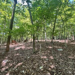 Photo #3 of Off of Poplar Drive, Hardy, VA 0.3 acres