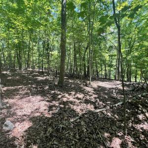Photo #12 of Off of Poplar Drive, Hardy, VA 0.3 acres