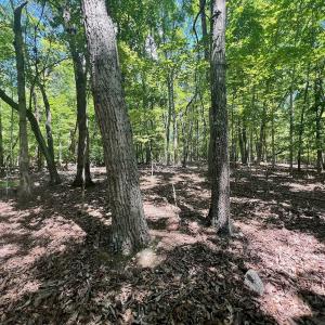 Photo #13 of Off of Poplar Drive, Hardy, VA 0.3 acres