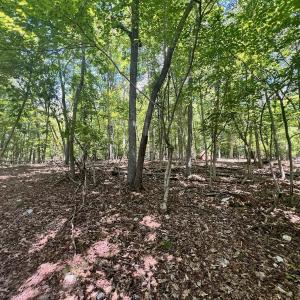 Photo #14 of Off of Poplar Drive, Hardy, VA 0.3 acres