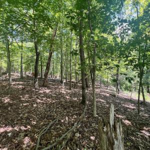 Photo #15 of Off of Poplar Drive, Hardy, VA 0.3 acres
