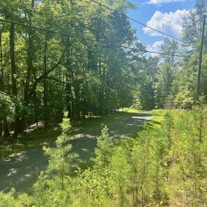Photo #16 of Off of Poplar Drive, Hardy, VA 0.3 acres
