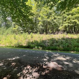 Photo #19 of Off of Poplar Drive, Hardy, VA 0.3 acres
