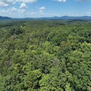 Photo #20 of Off of Poplar Drive, Hardy, VA 0.3 acres