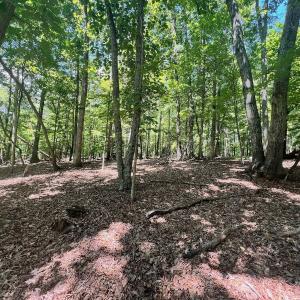 Photo #4 of Off of Poplar Drive, Hardy, VA 0.3 acres