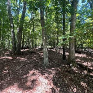 Photo #5 of Off of Poplar Drive, Hardy, VA 0.3 acres