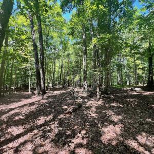 Photo #6 of Off of Poplar Drive, Hardy, VA 0.3 acres
