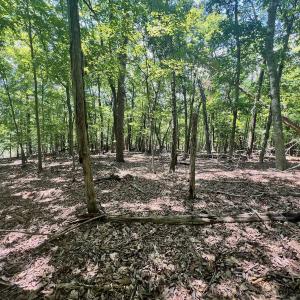 Photo #8 of Off of Poplar Drive, Hardy, VA 0.3 acres
