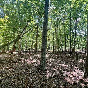 Photo #9 of Off of Poplar Drive, Hardy, VA 0.3 acres