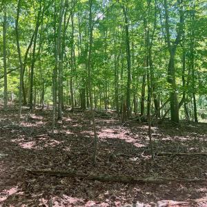 Photo #10 of Off of Poplar Drive, Hardy, VA 0.3 acres