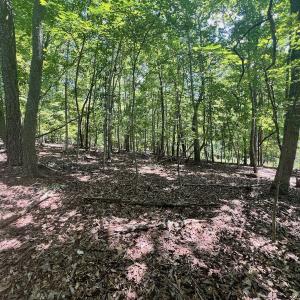 Photo #11 of Off of Poplar Drive, Hardy, VA 0.3 acres