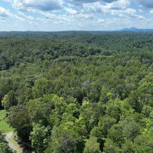 Photo #22 of Off of Poplar Drive, Hardy, VA 0.3 acres