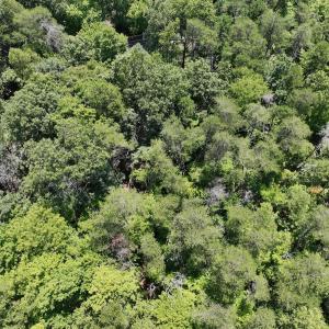Photo #23 of Off of Poplar Drive, Hardy, VA 0.3 acres