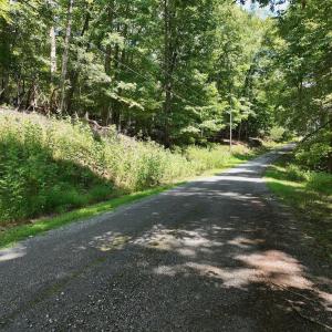 Photo #27 of Off of Poplar Drive, Hardy, VA 0.3 acres