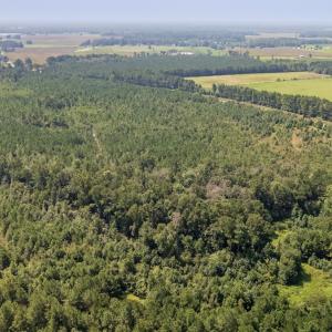 Photo #7 of SOLD property in Off Fountain Town Rd, Beualville, NC 28.7 acres