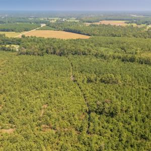 Photo #5 of SOLD property in Off Fountain Town Rd, Beualville, NC 28.7 acres