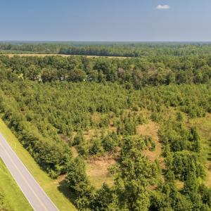 Photo #4 of SOLD property in Off Fountain Town Rd, Beualville, NC 28.7 acres