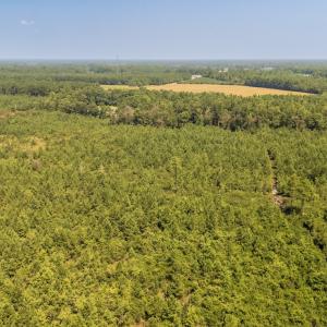 Photo #3 of SOLD property in Off Fountain Town Rd, Beualville, NC 28.7 acres