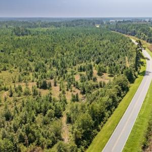 Photo #14 of SOLD property in Off Fountain Town Rd, Beualville, NC 28.7 acres