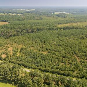 Photo #13 of SOLD property in Off Fountain Town Rd, Beualville, NC 28.7 acres