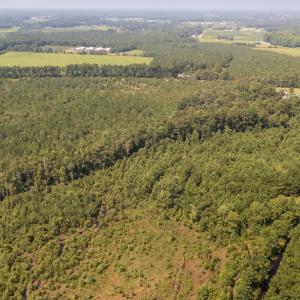 Photo #12 of SOLD property in Off Fountain Town Rd, Beualville, NC 28.7 acres