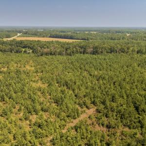 Photo #10 of SOLD property in Off Fountain Town Rd, Beualville, NC 28.7 acres