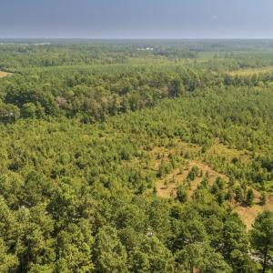 Photo #20 of SOLD property in Off Fountain Town Rd, Beualville, NC 28.7 acres