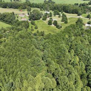 Photo #12 of SOLD property in 1494 Green Bay Road, Catham, VA 16.2 acres