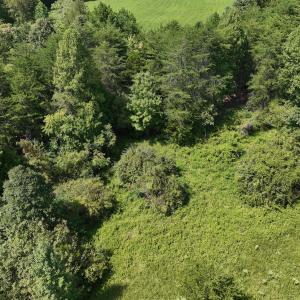 Photo #14 of SOLD property in 1494 Green Bay Road, Catham, VA 16.2 acres