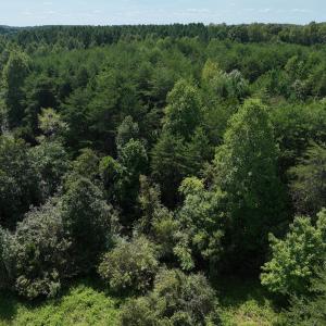 Photo #17 of SOLD property in 1494 Green Bay Road, Catham, VA 16.2 acres