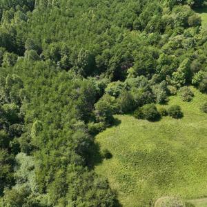 Photo #10 of SOLD property in 1494 Green Bay Road, Catham, VA 16.2 acres