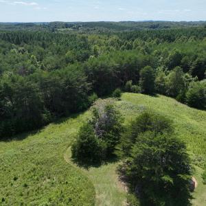 Photo #27 of SOLD property in 1494 Green Bay Road, Catham, VA 16.2 acres