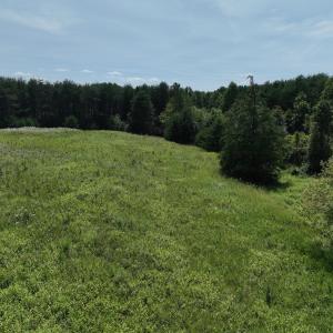 Photo #32 of SOLD property in 1494 Green Bay Road, Catham, VA 16.2 acres