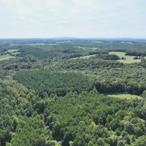 Photo #34 of SOLD property in 1494 Green Bay Road, Catham, VA 16.2 acres