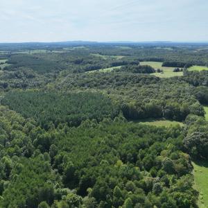 Photo #40 of SOLD property in 1494 Green Bay Road, Catham, VA 16.2 acres