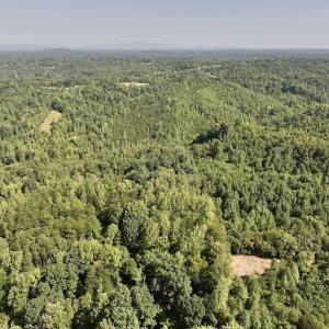 Photo #11 of 01 Seven Island Road, Danbury, NC 18.5 acres