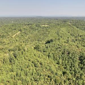 Photo #15 of 01 Seven Island Road, Danbury, NC 18.5 acres