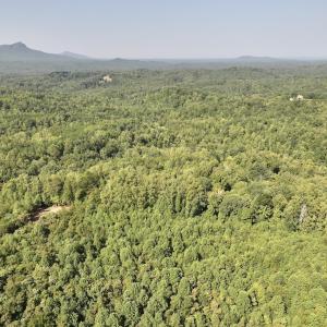 Photo #16 of 01 Seven Island Road, Danbury, NC 18.5 acres