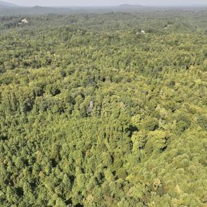 Photo #17 of 01 Seven Island Road, Danbury, NC 18.5 acres