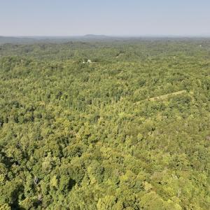 Photo #20 of 01 Seven Island Road, Danbury, NC 18.5 acres