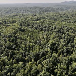 Photo #5 of 01 Seven Island Road, Danbury, NC 18.5 acres