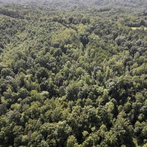 Photo #6 of 01 Seven Island Road, Danbury, NC 18.5 acres